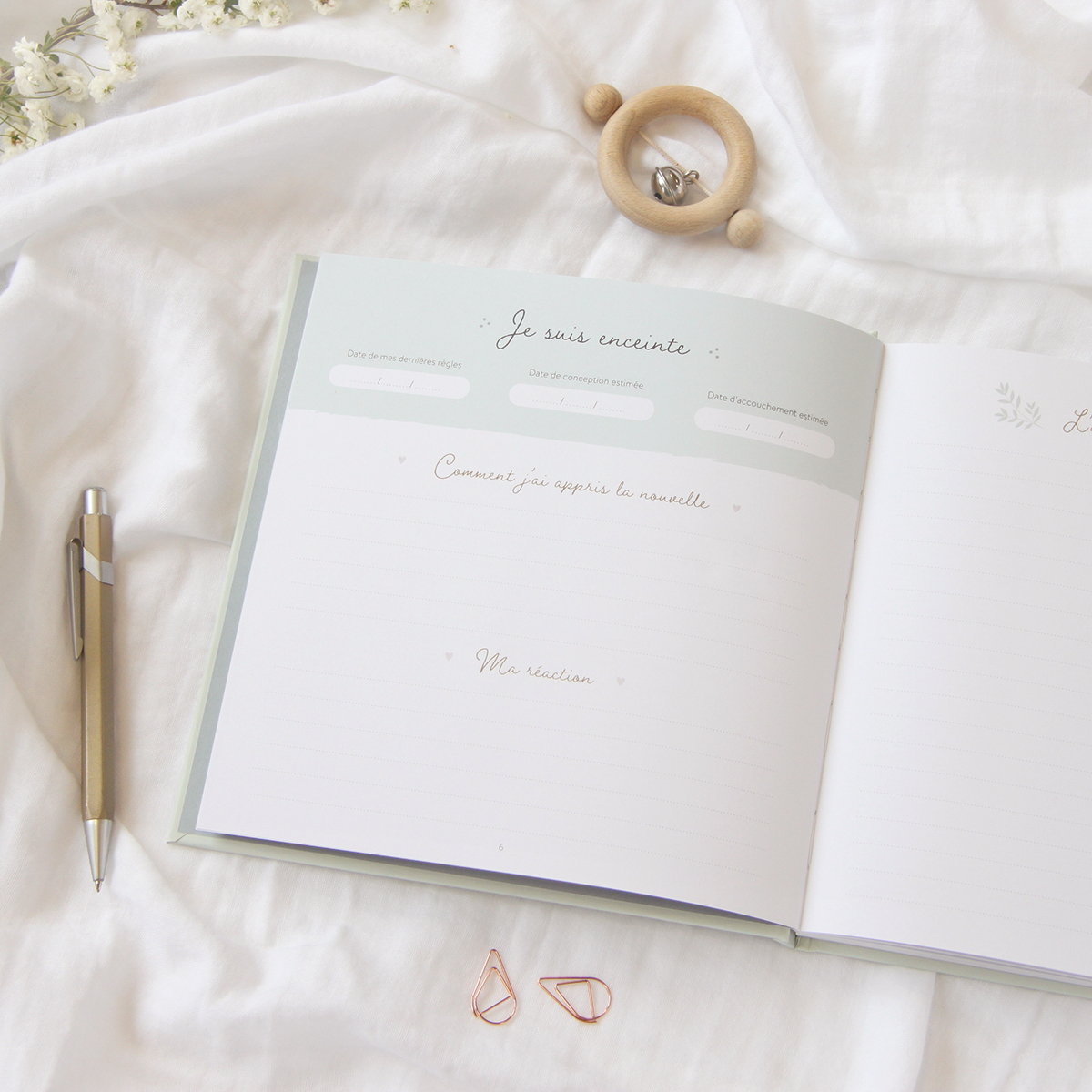 Journal de Grossesse et Carnet de Grossesse