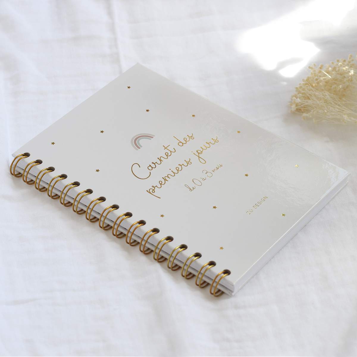 Carnet Des Premiers Jours Pour Le Suivi De Bebe Des Premieres Semaines