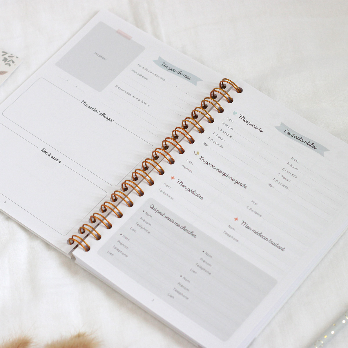 Organisation familiale : Le super carnet de liaison Parents-Nounou