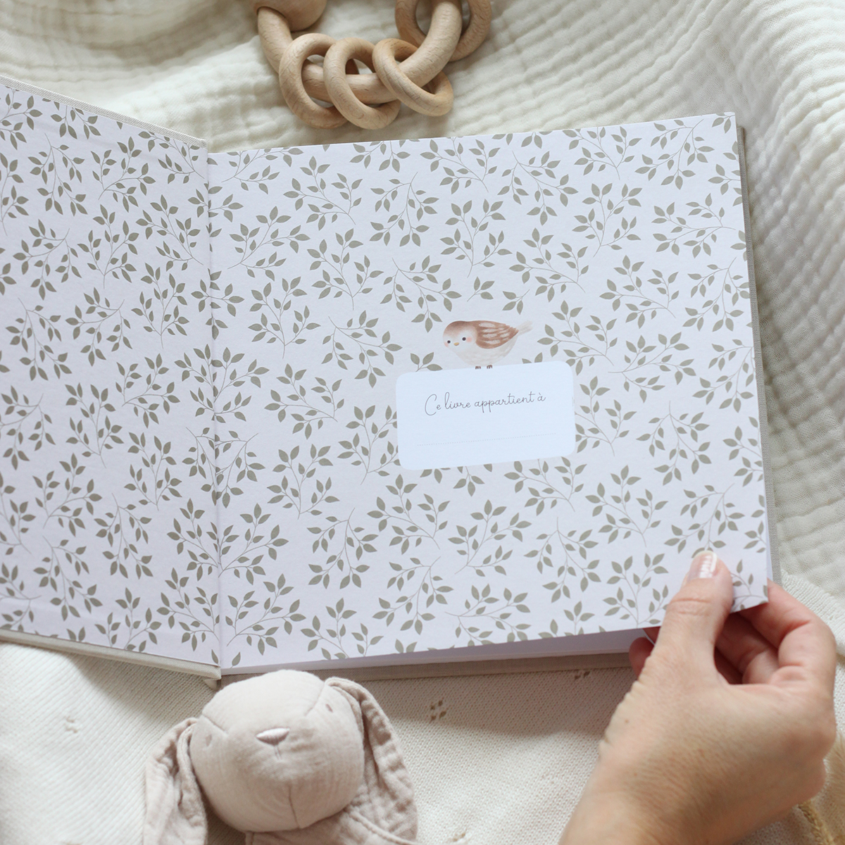  Le Petit Journal De Mon Bébé Première Année: livre de naissance  garçon, tout en couleur, pour garder les souvenirs de bébé, depuis le  ventre de maman jusqu'à sa première année 