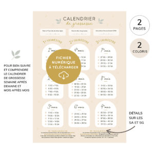 Fiche Calendrier de grossesse à imprimer...