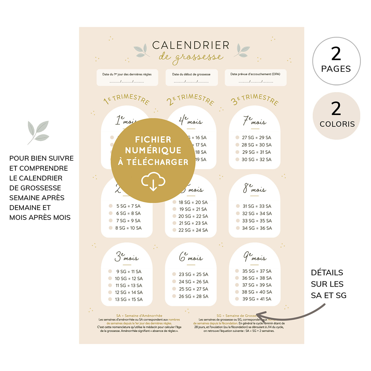 Planning de grossesse mois par mois à télécharger