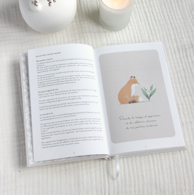 Journal de gratitude