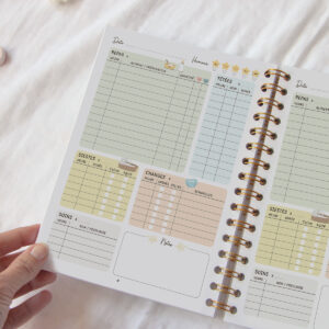 Carnet de suivi de bébé, période de 6 mo...